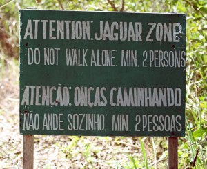 Ons het elke dag jaguars gesien,dus het ons maar aandag geskenk aan hierdie waarskuwing.