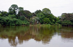 'nTipiese toneel in die Pantanal.Orals is water,water,water!
